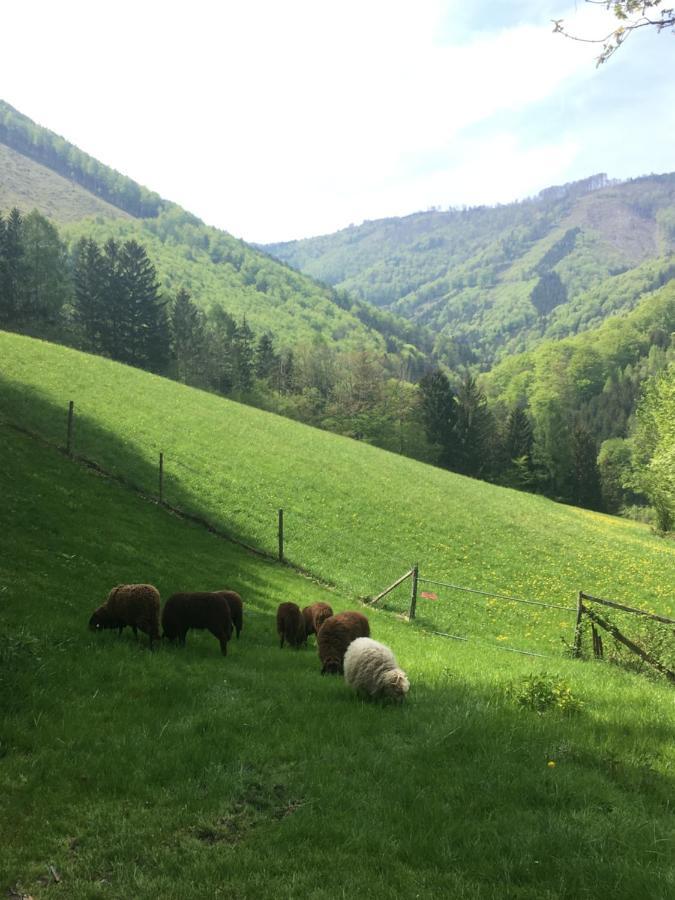 Buechlhof - App. Breitenstein Lilienfeld Exteriér fotografie