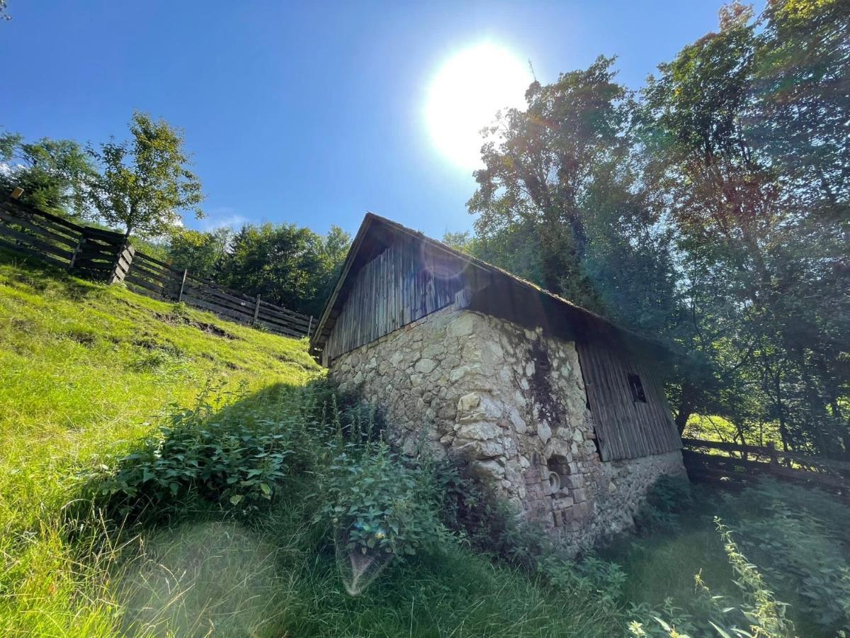Buechlhof - App. Breitenstein Lilienfeld Exteriér fotografie