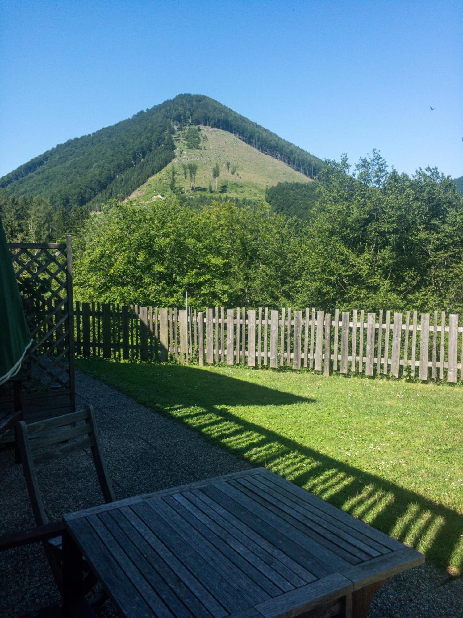 Buechlhof - App. Breitenstein Lilienfeld Exteriér fotografie